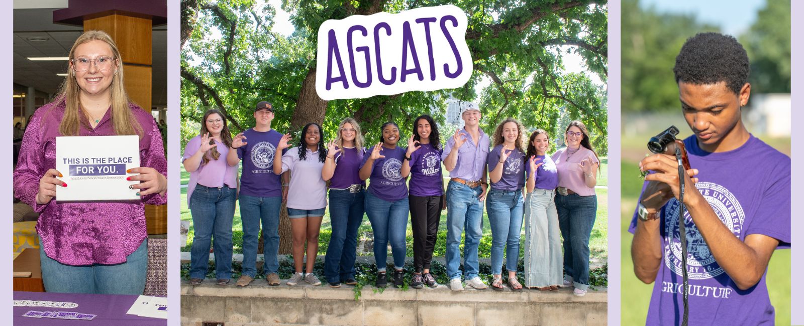 Students wearing purple posing outside of Waters Hall and looking at bugs